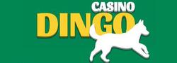 Dingo Casino logo