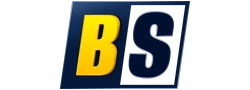 BetScore Casino logo